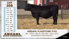 Lot #108 - AMDAHL FLAGSTONE 2143