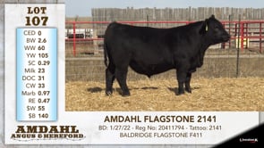 Lot #107 - AMDAHL FLAGSTONE 2141