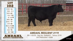 Lot #102 - AMDAHL RESILIENT 2119
