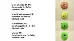 Vignette de la vidéo