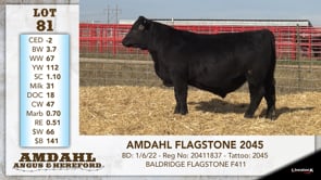 Lot #81 - AMDAHL FLAGSTONE 2045