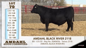 Lot #79 - AMDAHL BLACK RIVER 2118