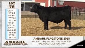 Lot #76 - AMDAHL FLAGSTONE 2065