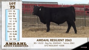 Lot #75 - AMDAHL RESILIENT 2063