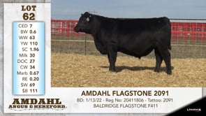 Lot #62 - AMDAHL FLAGSTONE 2091