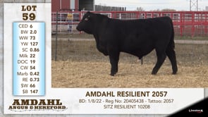 Lot #59 - AMDAHL RESILIENT 2057