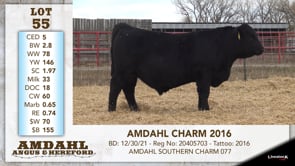 Lot #55 - AMDAHL CHARM 2016