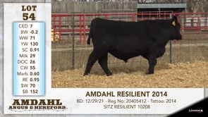 Lot #54 - AMDAHL RESILIENT 2014