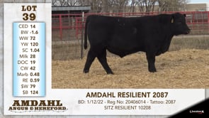 Lot #39 - AMDAHL RESILIENT 2087