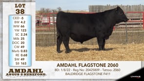 Lot #38 - AMDAHL FLAGSTONE 2060