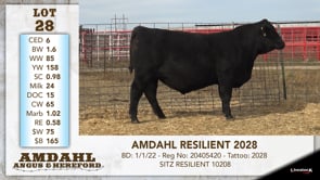 Lot #28 - AMDAHL RESILIENT 2028
