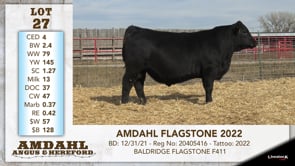 Lot #27 - AMDAHL FLAGSTONE 2022