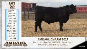 Lot #22 - AMDAHL CHARM 2027