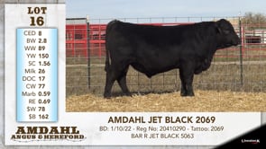 Lot #16 - AMDAHL JET BLACK 2069