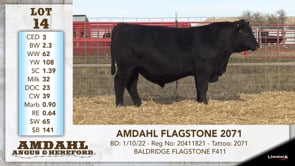 Lot #14 - AMDAHL FLAGSTONE 2071