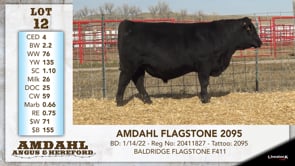 Lot #12 - AMDAHL FLAGSTONE 2095
