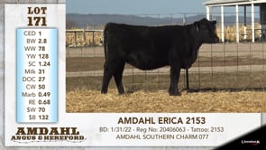 Lot #171 - AMDAHL ERICA 2153