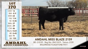 Lot #170 - AMDAHL MISS BLAZE 2159