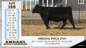 Lot #166 - AMDAHL ERICA 2101