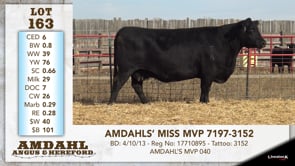 Lot #163 - AMDAHLS' MISS MVP 7197-3152