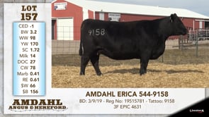 Lot #157 - AMDAHL ERICA 544-9158