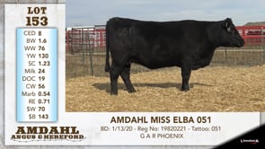 Lot #153 - AMDAHL MISS ELBA 051