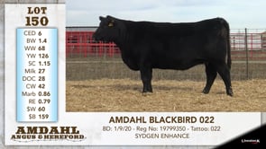 Lot #150 - AMDAHL BLACKBIRD 022