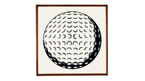 Vignette de la vidéo