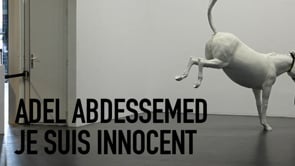 Vignette de la vidéo