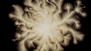 Vignette de la vidéo