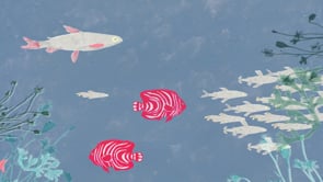 Vignette de la vidéo