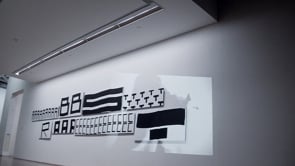 Vignette de la vidéo