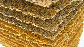 Vignette de la vidéo