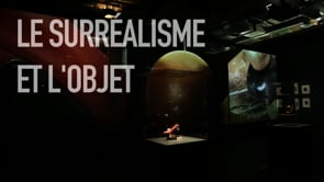 Vignette de la vidéo