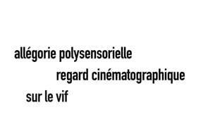 Vignette de la vidéo