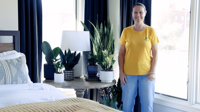 Houseplants | Grow From Your Strengths – Snake Plant & ZZ Plant