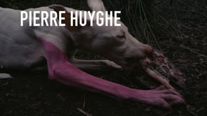 Vignette de la vidéo