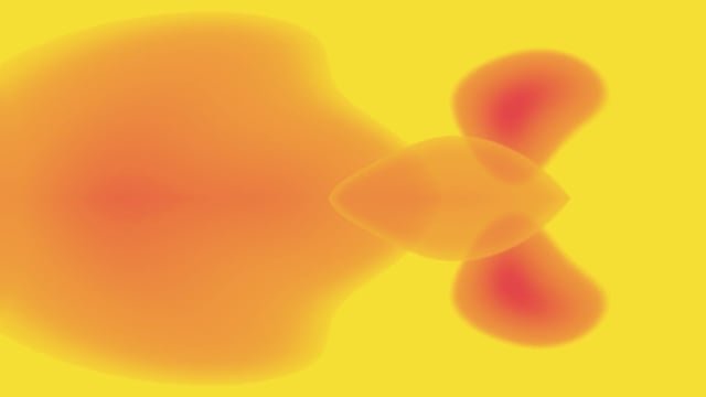 Egg Yolk Yellow - Free video on Pixabay