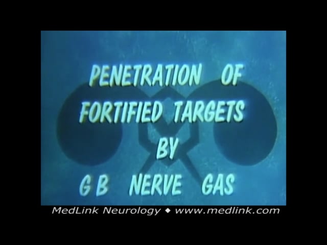 Penetration of fortified targets by sarin with demonstration of their rapid deadly effects on test animals