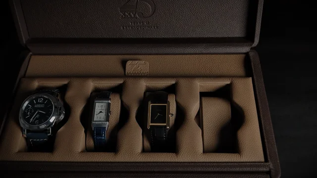 Scatola Del Tempo - Valigetta 8 - Bicolor  Most beautiful watches,  Beautiful watches, Travel case
