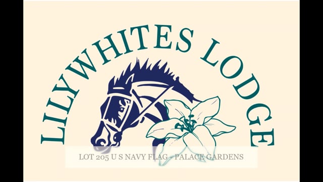 Lot 205
