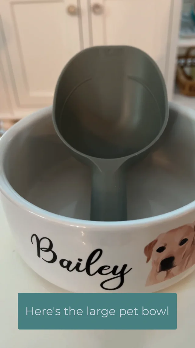 Retro Personalized Dog Bowl – Squishy Cheeks