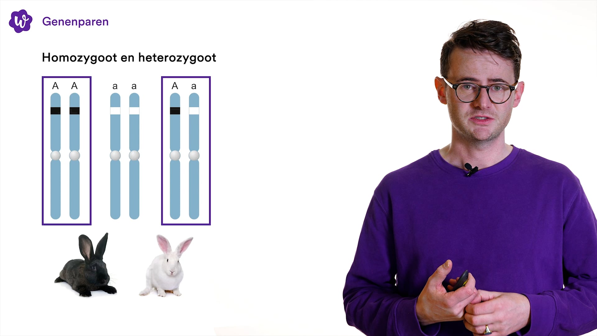 Oefen met Genetica uit Biologie voor jou / bvj – 4 vwo – 8 | StudyGo