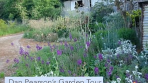 Dan Pearson garden tour