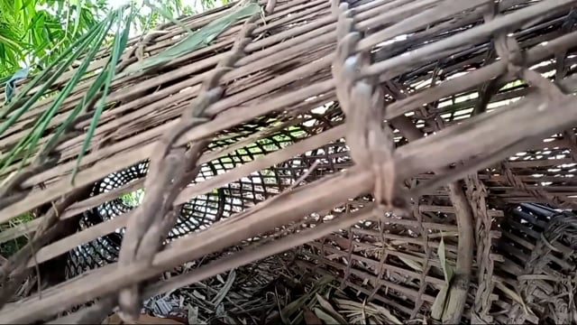 Filets ravageurs - Vidéo ePOP