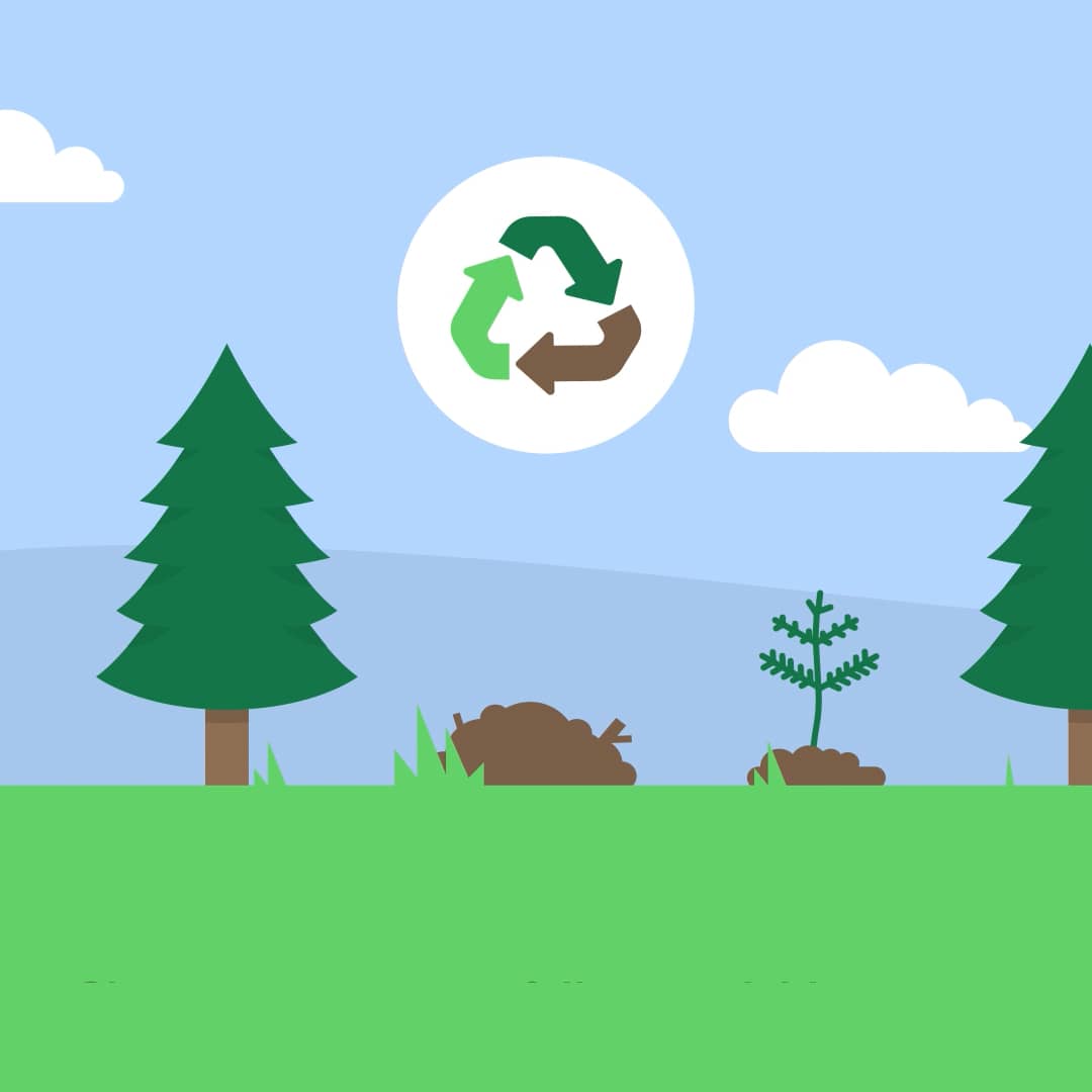 BCTGA Benefits of Real Christmas Trees 4 on Vimeo