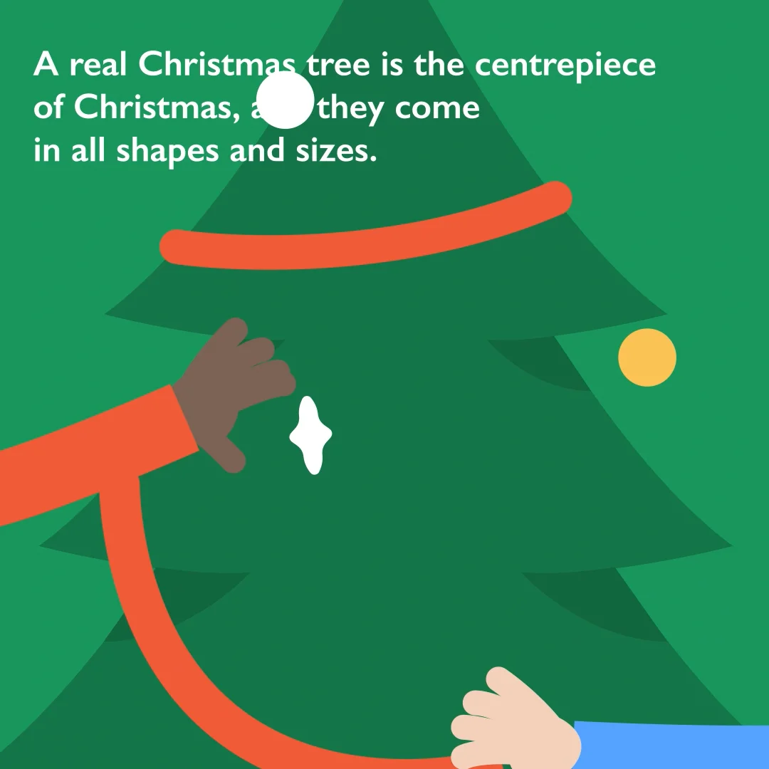 BCTGA Benefits of Real Christmas Trees 5 on Vimeo