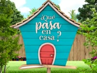 Martes 8 de noviembre - ¿Qué Pasa en Casa?