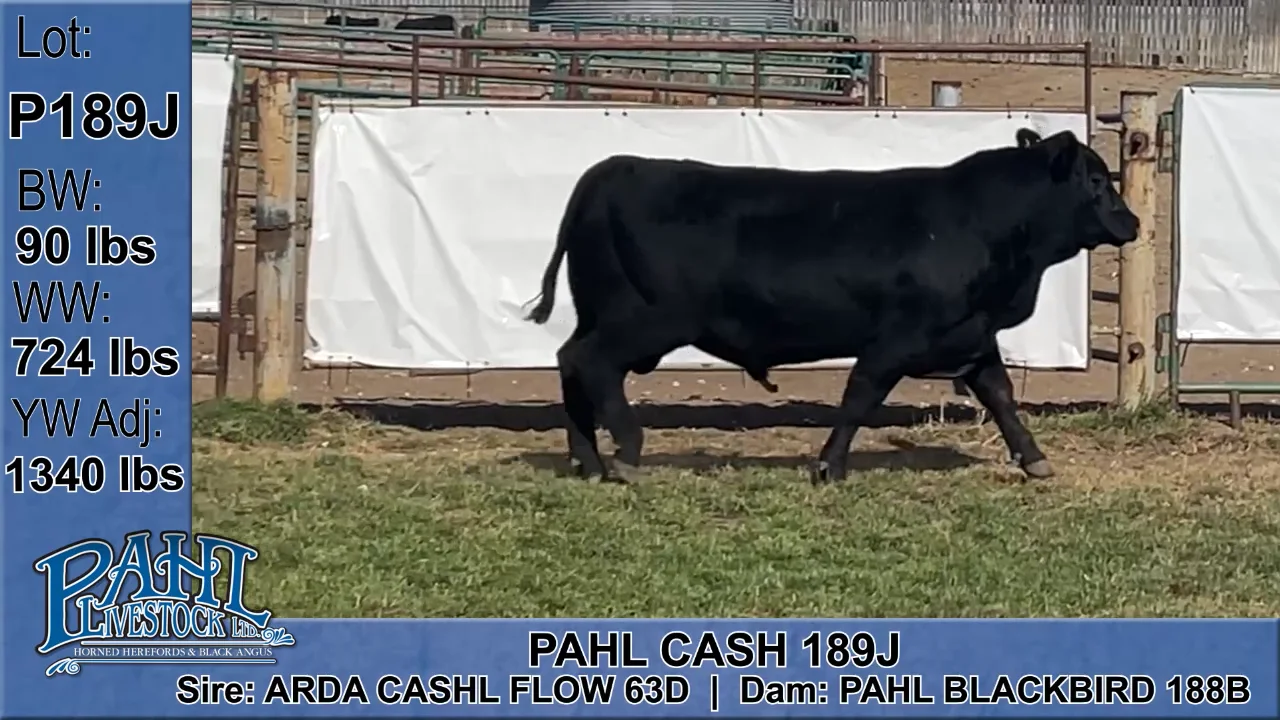 Pahl Ranch - 189J.mp4 on Vimeo