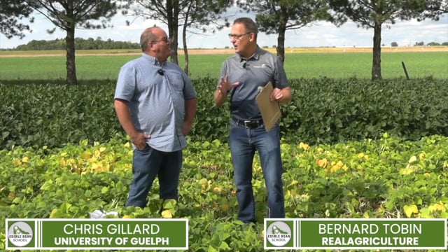 Edible Bean School Season 2 Episode 8 - Fungicide Strategies for Managing White Mould